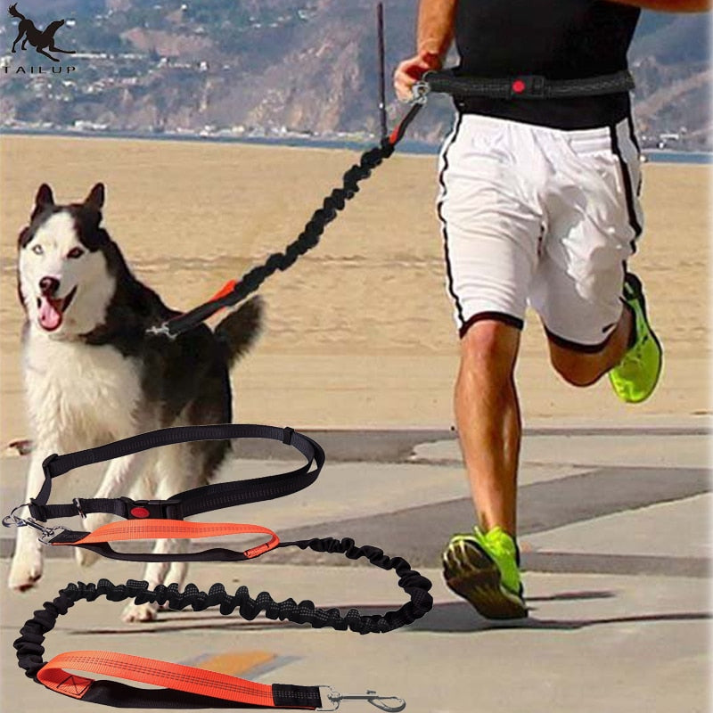 Pet Products Harness Collar Jogging