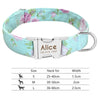 Nylon Dog Personalized Pet Collar