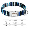 Nylon Dog Personalized Pet Collar