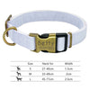 Nylon Dog Personalized Pet Collar