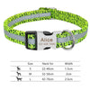 Nylon Dog Personalized Pet Collar