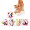 Toy Pet Supplies Random Color